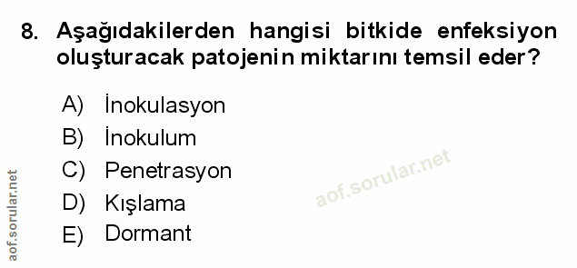 Soru 8