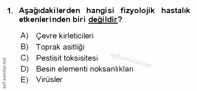 Soru 1