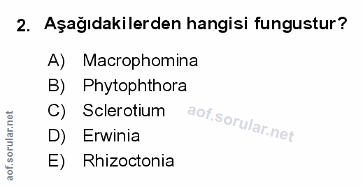 Soru 2