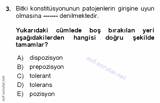 Soru 3