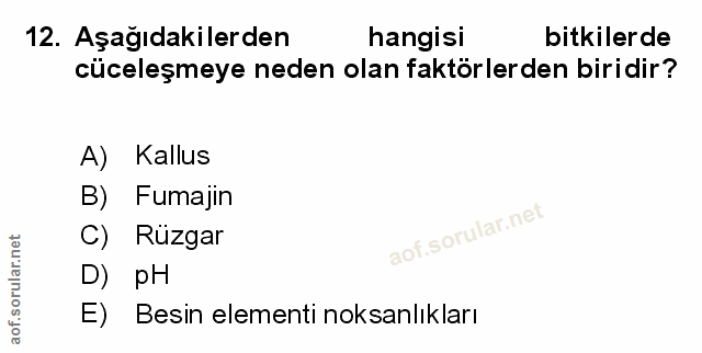 Soru 12