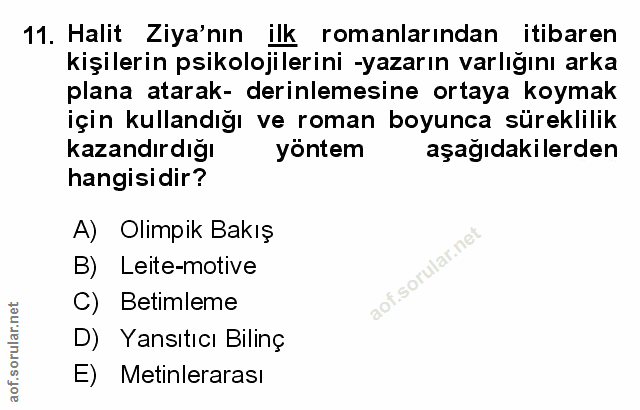Soru 11