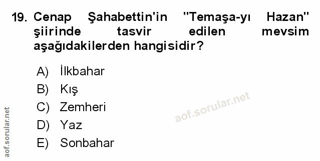 Soru 19