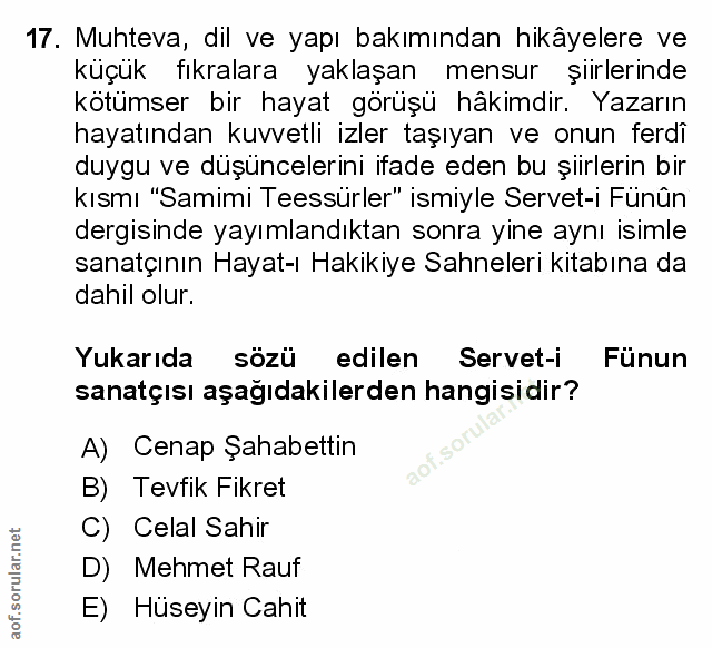 Soru 17