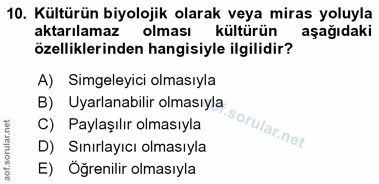 Soru 10