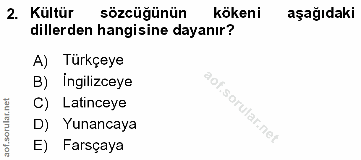 Soru 2