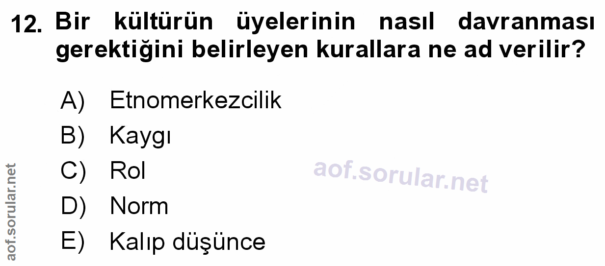 Soru 12
