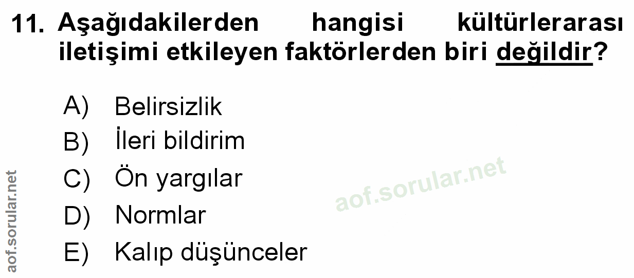 Soru 11