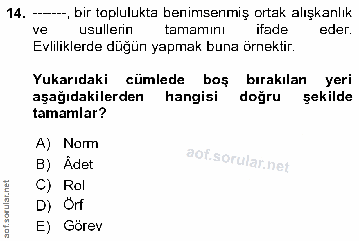 Soru 14