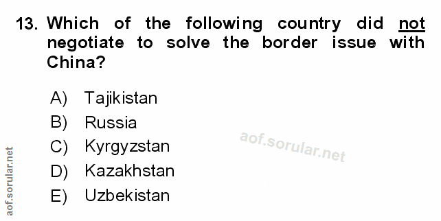 Soru 13
