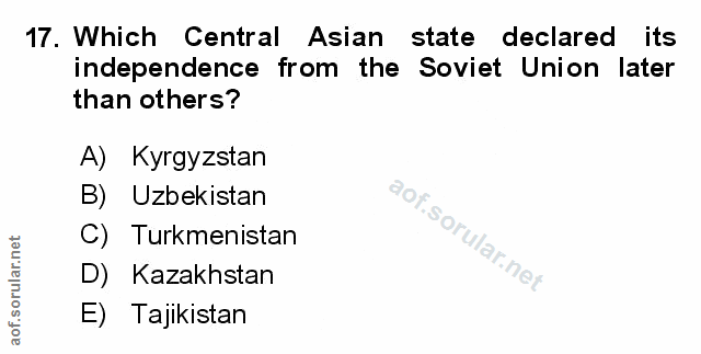 Soru 17