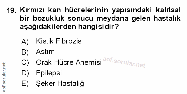 Soru 19