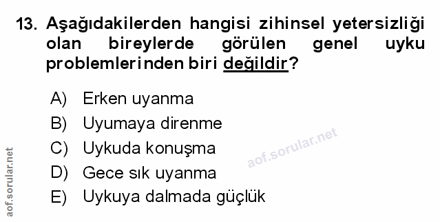 Soru 13