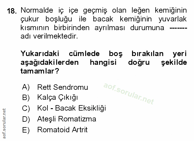 Soru 18