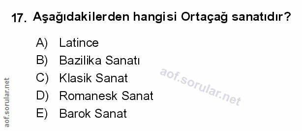 Soru 17
