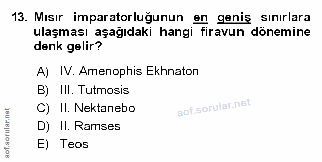 Soru 13