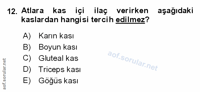 Soru 12
