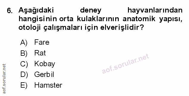 Soru 6
