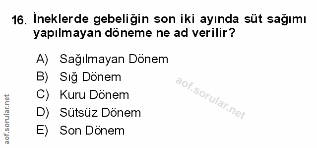 Soru 16