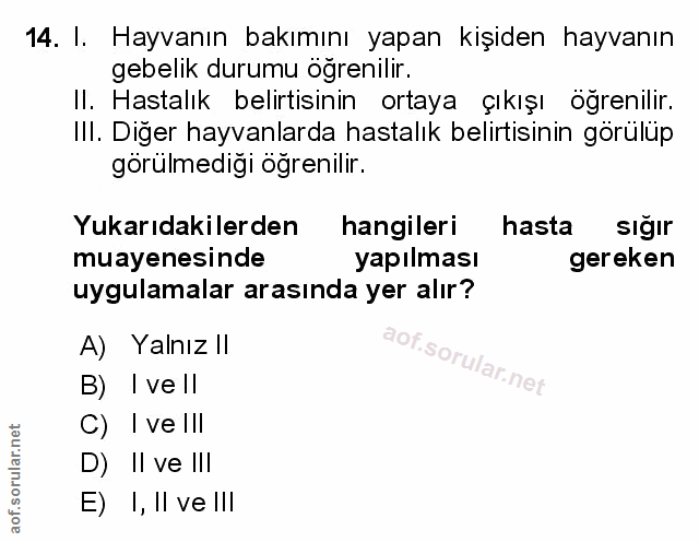 Soru 14