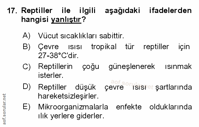 Soru 17