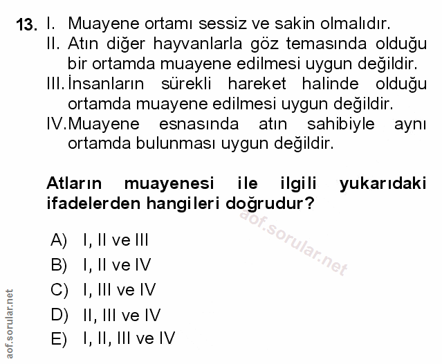Soru 13