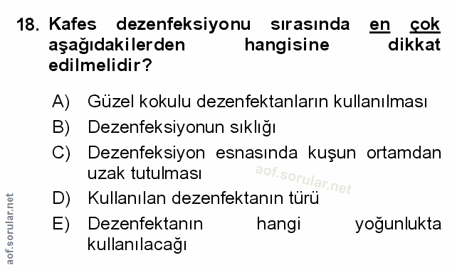 Soru 18