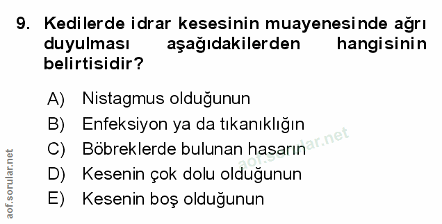 Soru 9