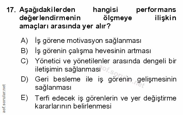 Soru 17