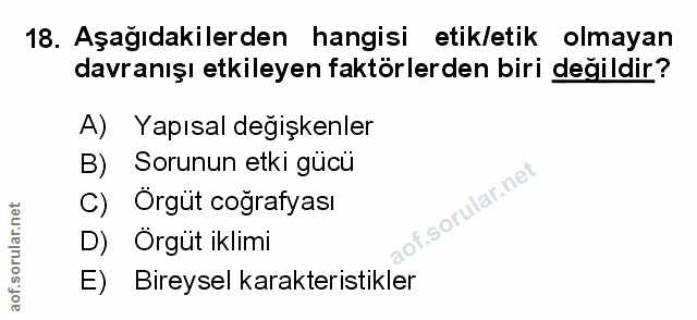 Soru 18
