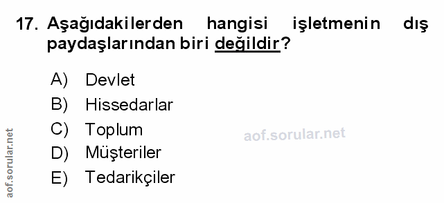 Soru 17