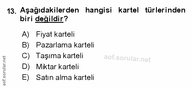 Soru 13