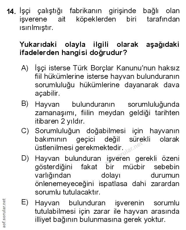 Soru 14