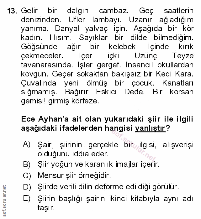 Soru 13