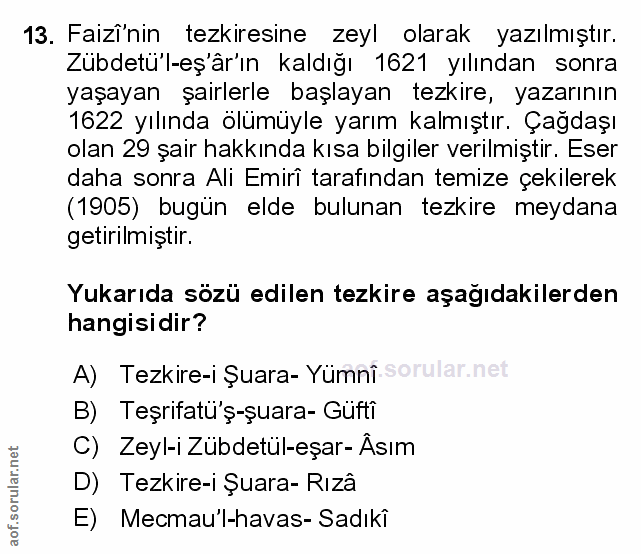 Soru 13