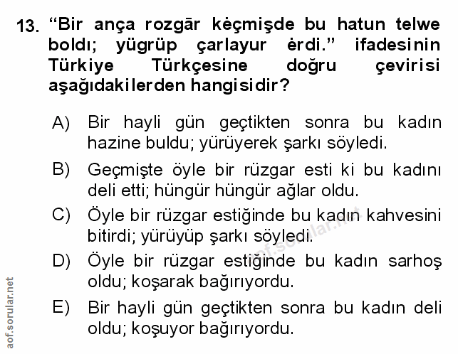 Soru 13