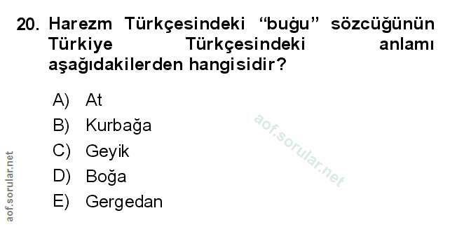 Soru 20