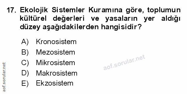 Soru 17