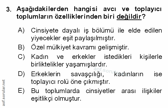 Soru 3