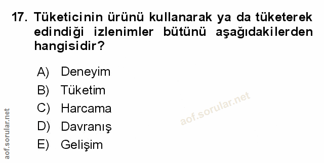 Soru 17