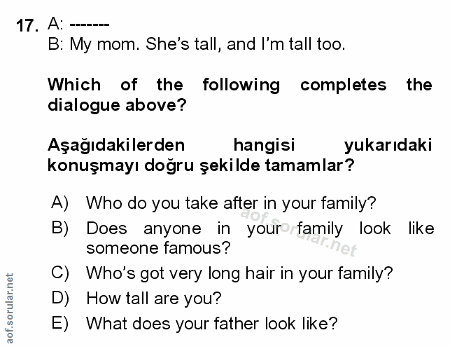 Soru 17