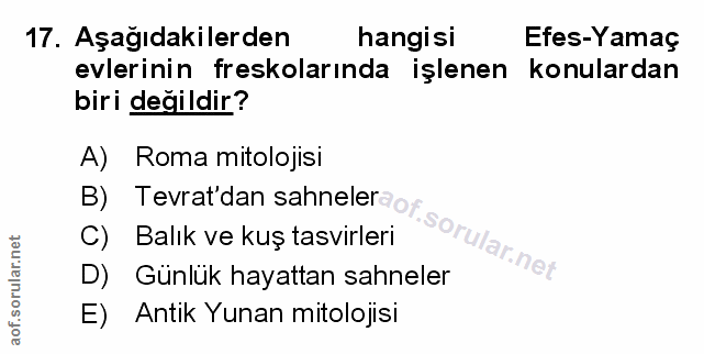 Soru 17