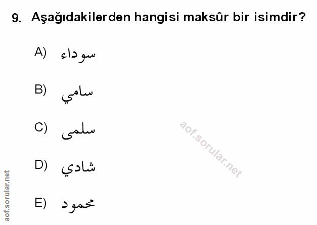 Soru 9