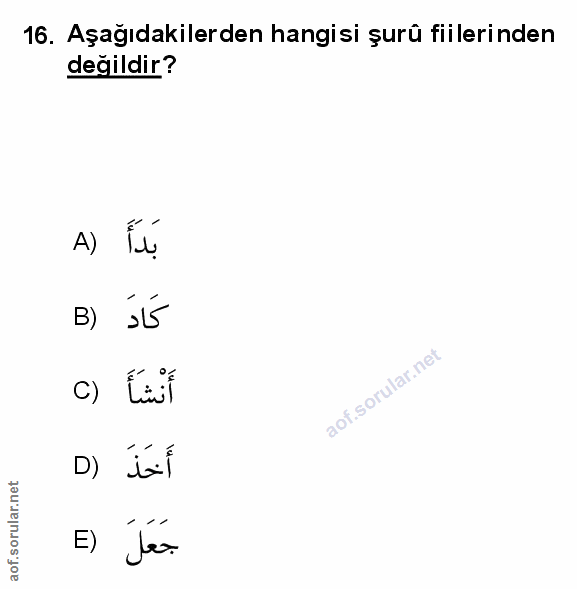 Soru 16