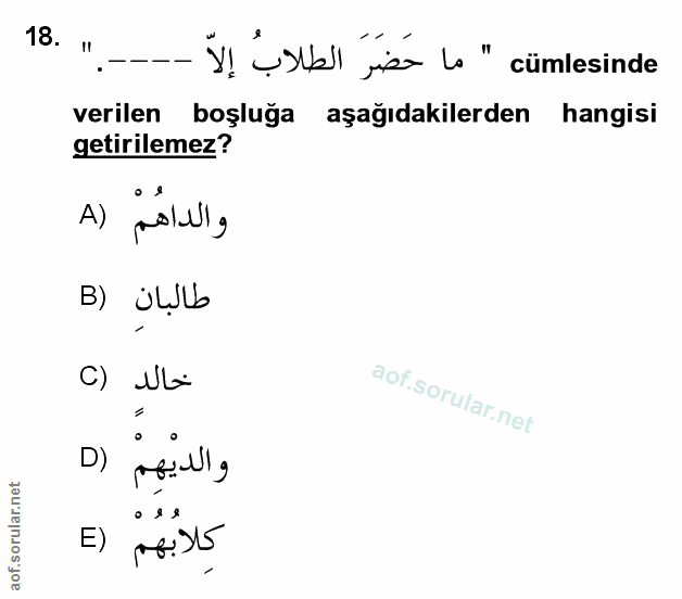 Soru 18