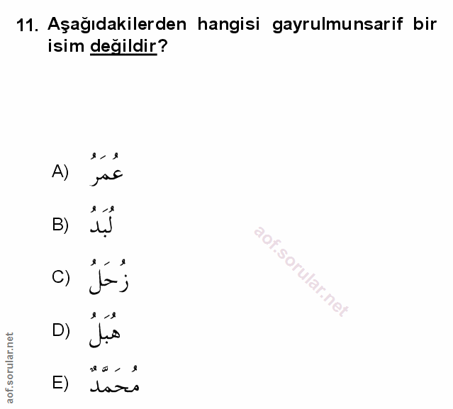 Soru 11