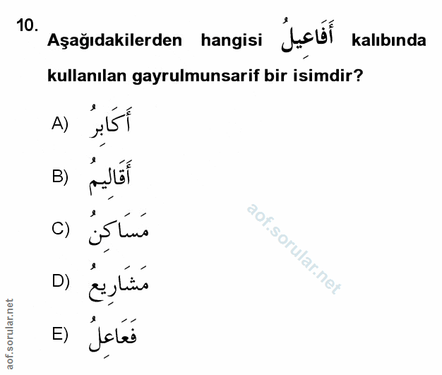Soru 10