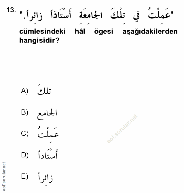 Soru 13