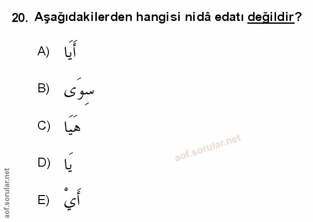 Soru 20