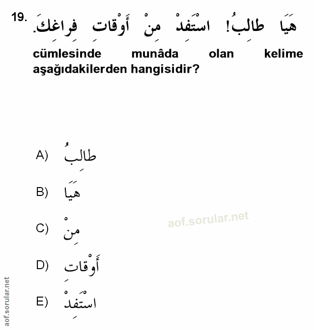 Soru 19